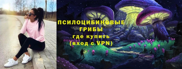 стаф Белоозёрский