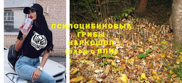 стаф Белоозёрский
