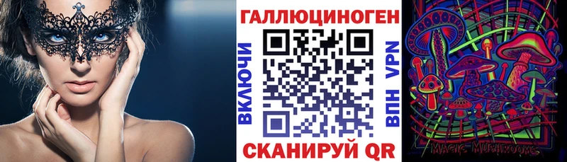 дарнет шоп Пионерский Галлюциногенные грибы Magic Shrooms